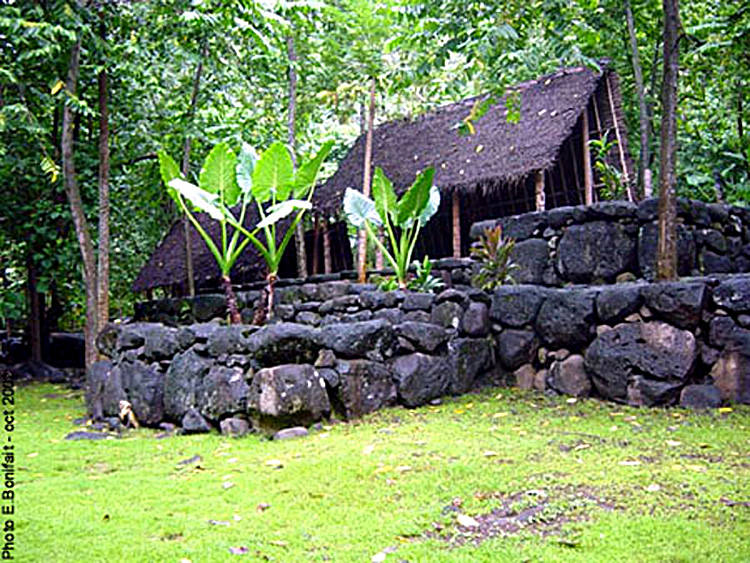 house<br /><br>reconstruction in Taipivai” width=”425″ border=”0″ /></p><br><p>A house built on a terraced <em>paepae</em> in Hakaui, Nuku Hiva. (Source:<em>http://www.insidemystery.org/hakaui-1971/arrival.html</em>)</p><br><p><img src=