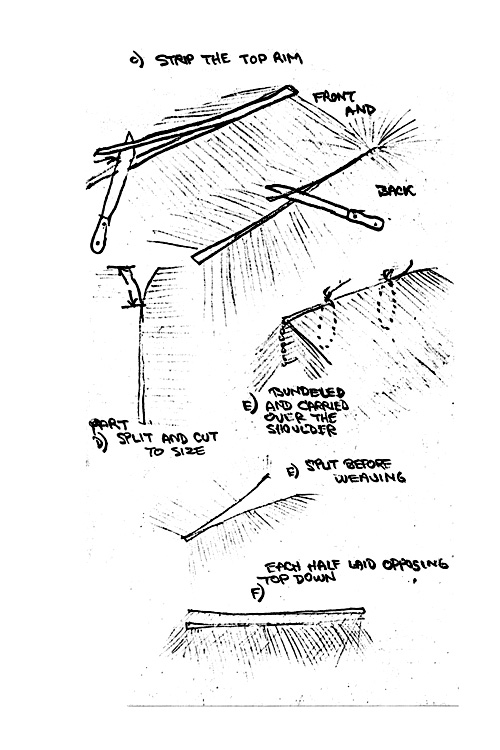 click this diagram to see an enlargement