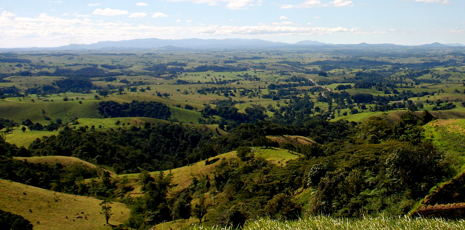 click on this image to see an enlargement