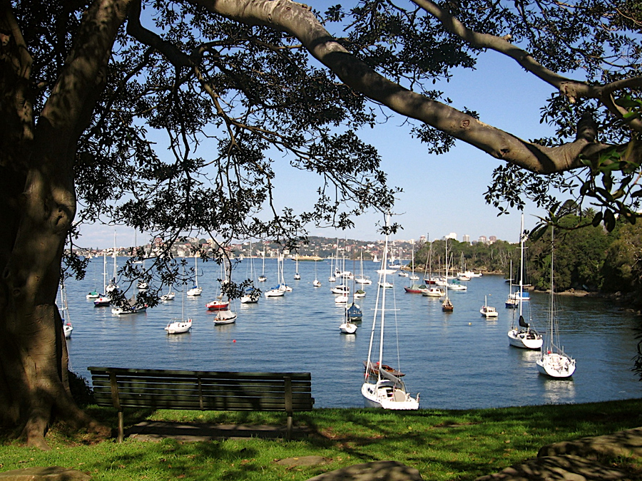 click on this image to see an enlargement